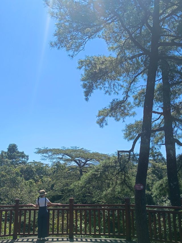 登高望遠大明山