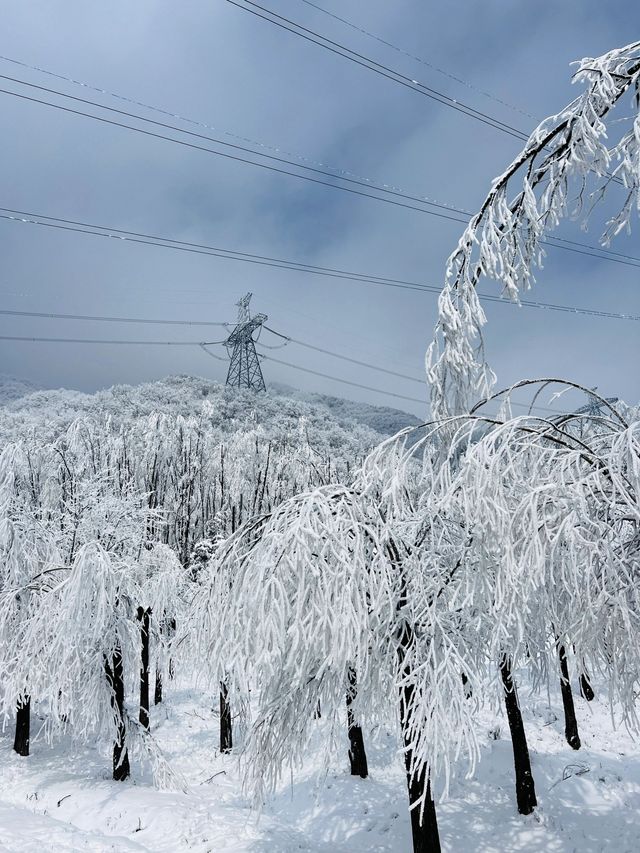 西安秦嶺｜最美不過的第一場雪景