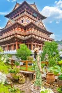為了這個花景 | 專程來了趟柳州