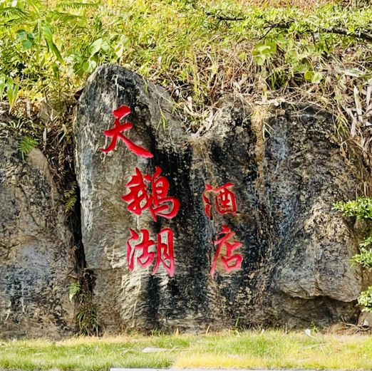 廣州周邊度假體驗@清遠天鵝湖酒店