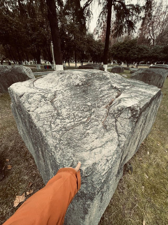 冬|故宮遺蹟