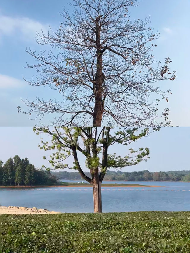 蘭溪蘭湖景區
