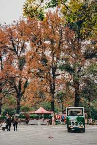 桂林七星公園限量版美景上線，錯過等一年！！