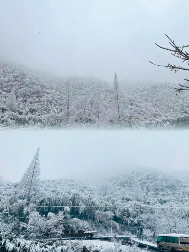 來野莫干山｜住進設計感超強的森系民宿.