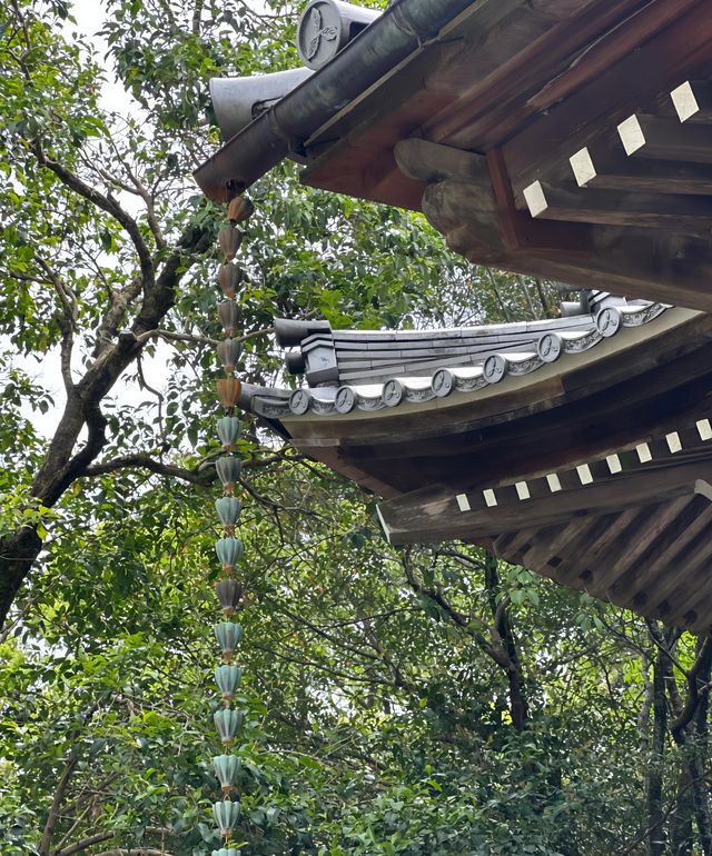 日本高知竹林寺｜禪意寶藏之旅