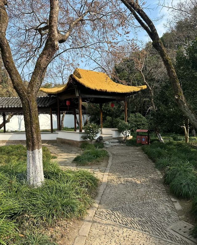 上海大觀園，帶你夢回紅樓