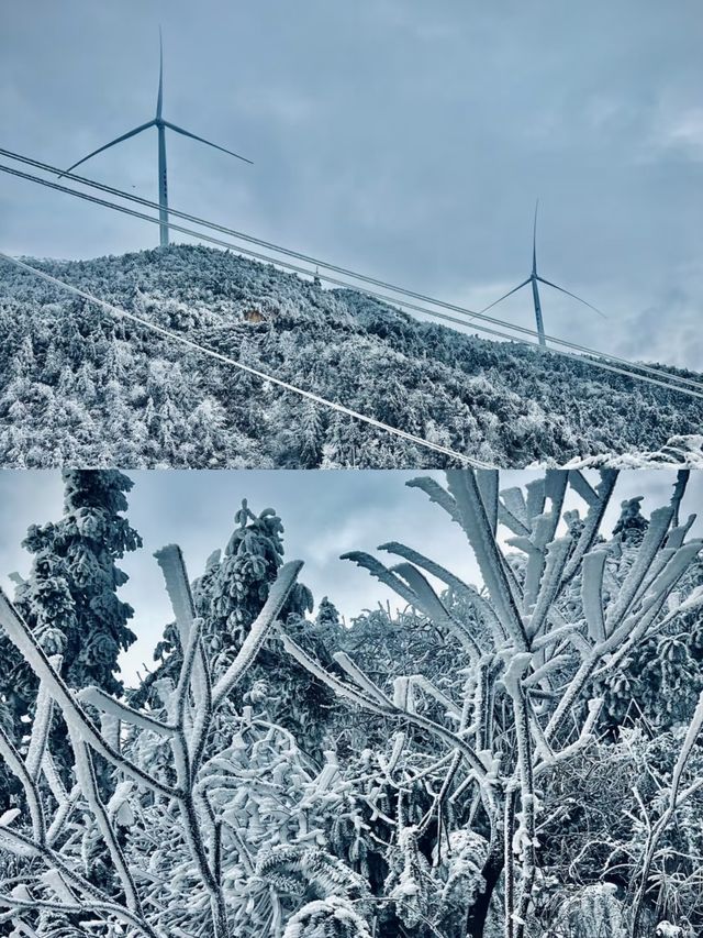 【清遠雲冰山，冰雪奇緣的夢幻之地】