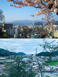 德島兩日遊，感受阿波舞嘅魅力同自然之美！