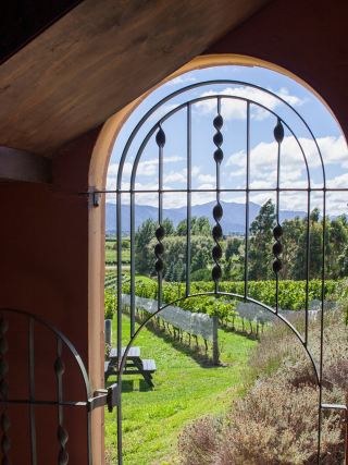 Blenheim, New Zealand | Sunshine, Wine, and Dreams