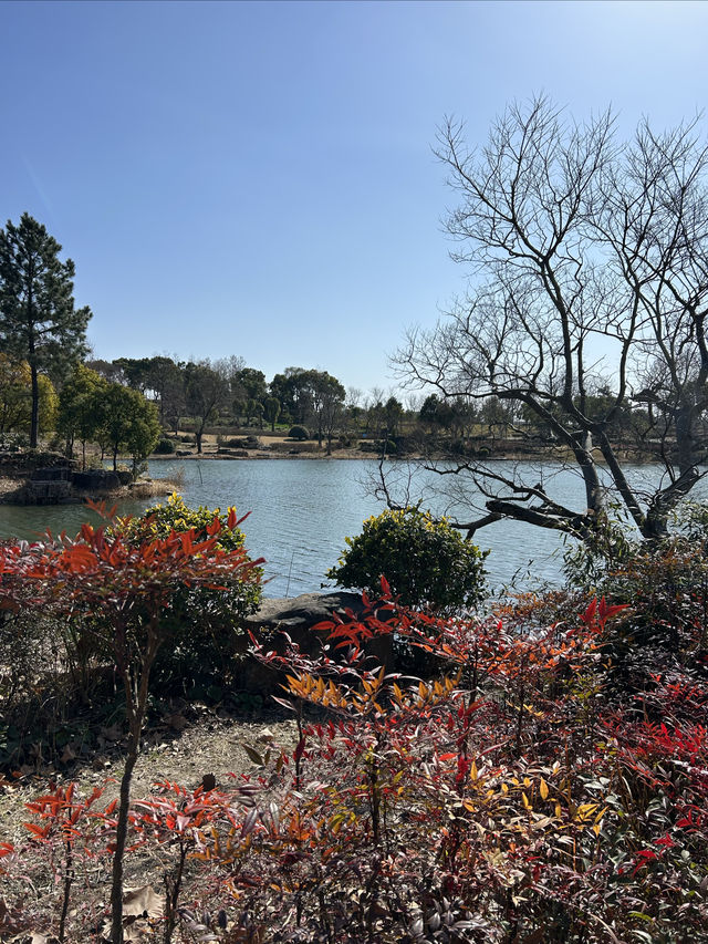 隱藏在城市中的寶藏公園，景美人少，少人知曉