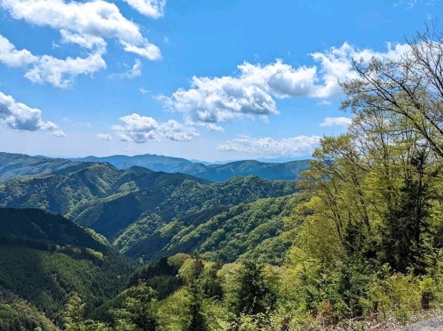 奥多摩周遊道路最高地点碑