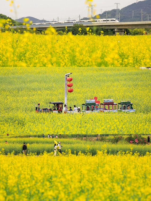 光明小鎮，歡樂田園