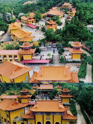 Changsha's Hidden Gem: Qingzhu Temple Travel Guide
