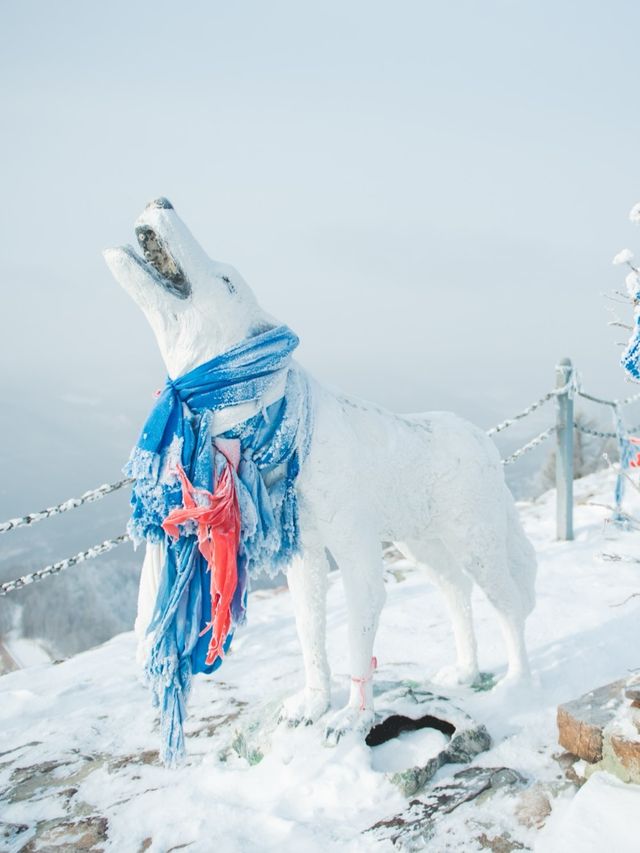 阿爾山白狼峰｜純淨的雪景讓人心動