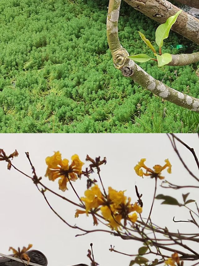 探秘廣西北海的千年漢閭文化園