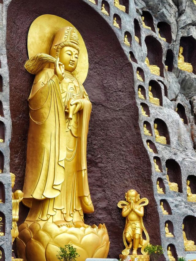 東華禪寺不來就可惜的免費絕美寺廟