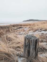 Indiana Dunes State Park 