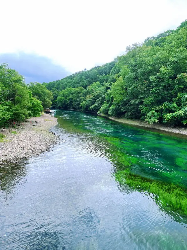 3-Day Family Trip to Japan: Easy Travel Without Getting Lost