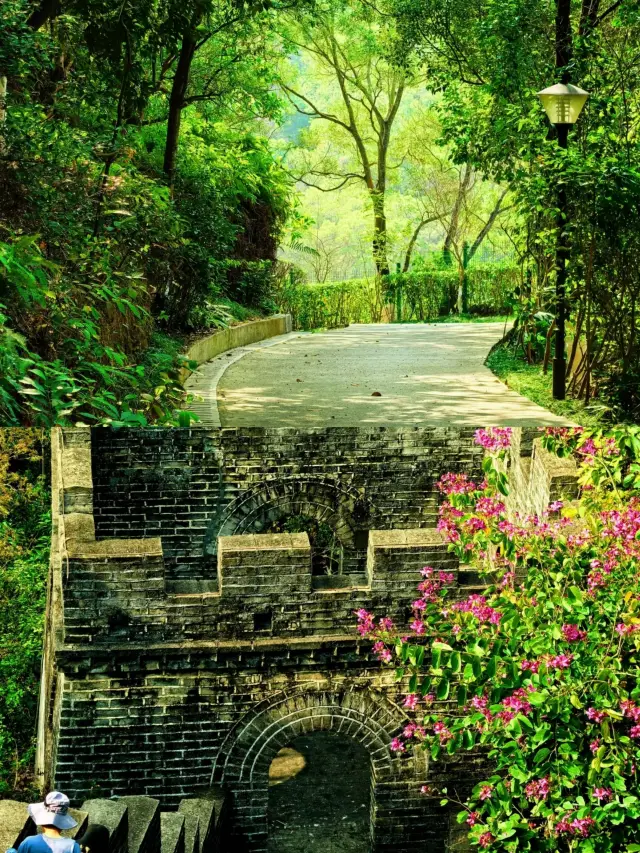 8 km Short Hiking Route for Beginners: Taojin Mountain - Qiushui Mountain~~