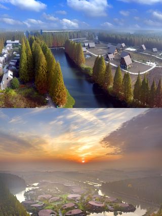 Hidden Gem in Jiangsu, Zhejiang, and Shanghai: Jinhu Water Forest