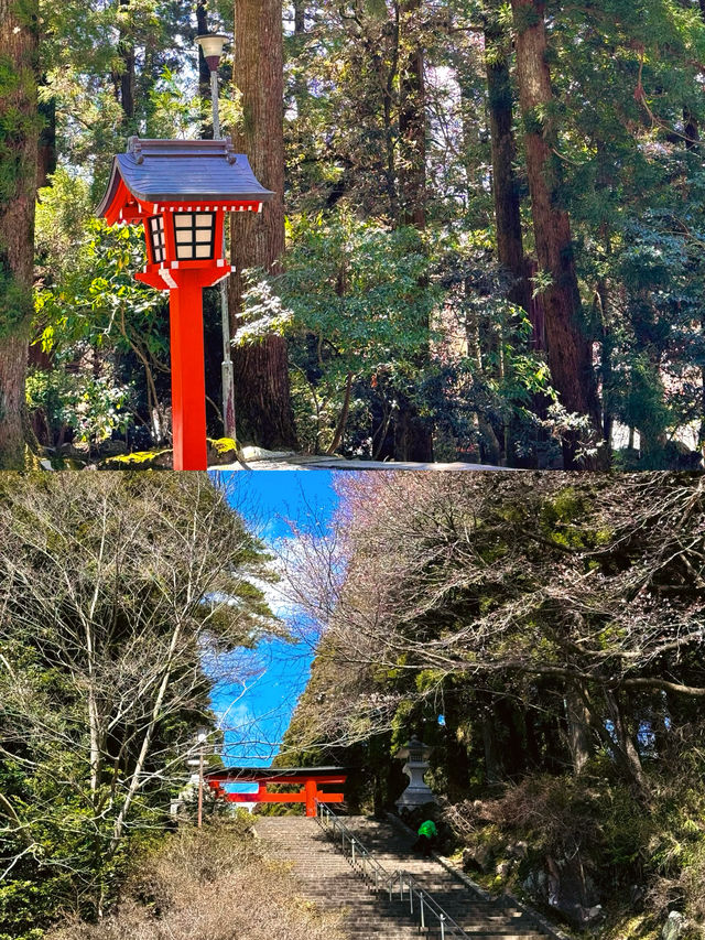 闖進現實版日本童話小鎮｜誤入小眾霧島市