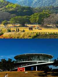 📍深圳｜恩上濕地公園👉週末吸氧好去處