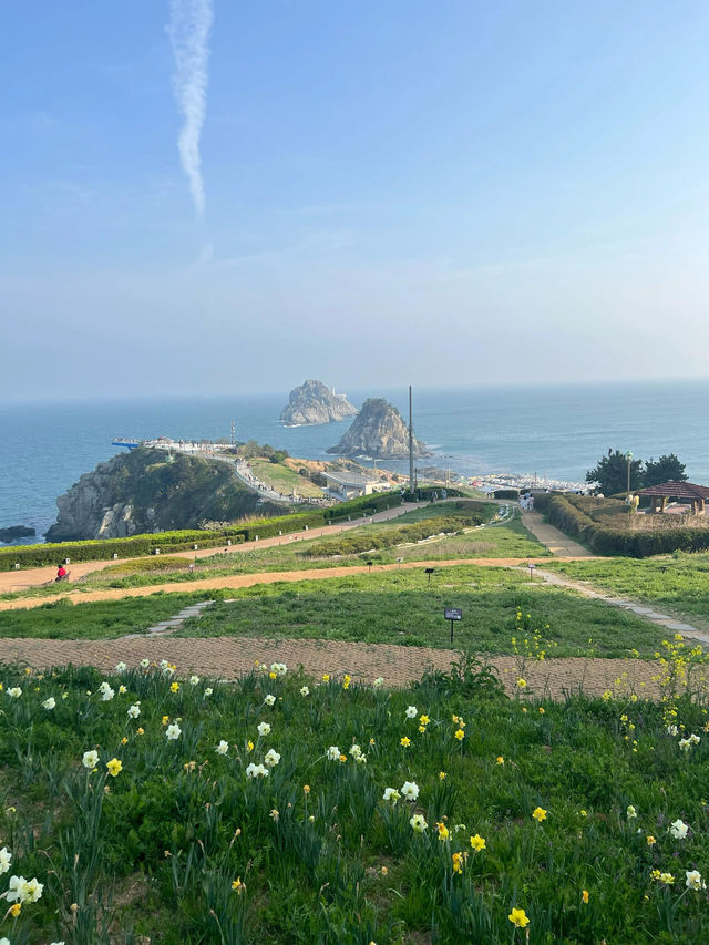 追着春天去旅行！釜山春日賞花體驗！