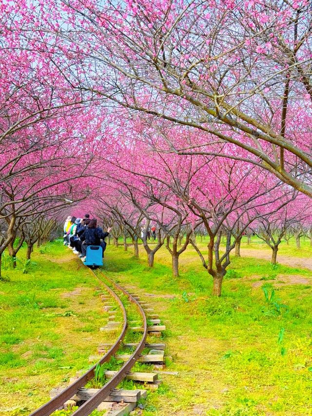 三生三世十里桃花園，現實走走一次吧 