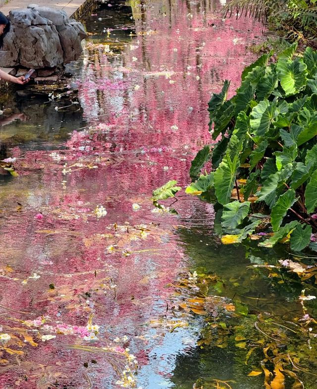 豐澤植物園