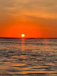 內蒙古自治區•居延海•夕陽下的蘆葦蕩