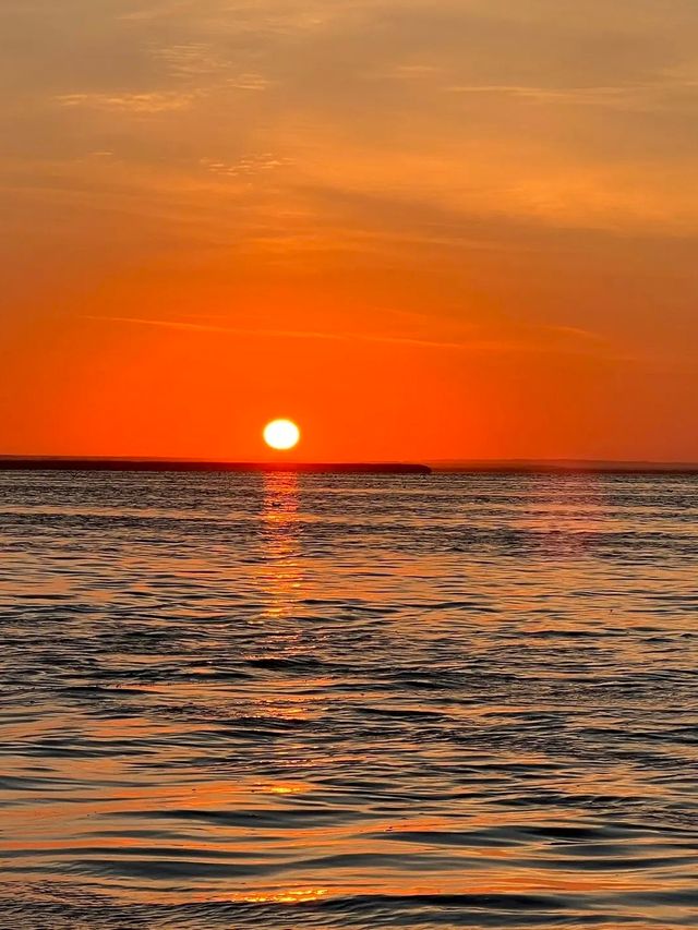 內蒙古自治區•居延海•夕陽下的蘆葦蕩
