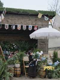 春天｜藏喺三垟濕地嘅春日小屋真係好啱打卡呀