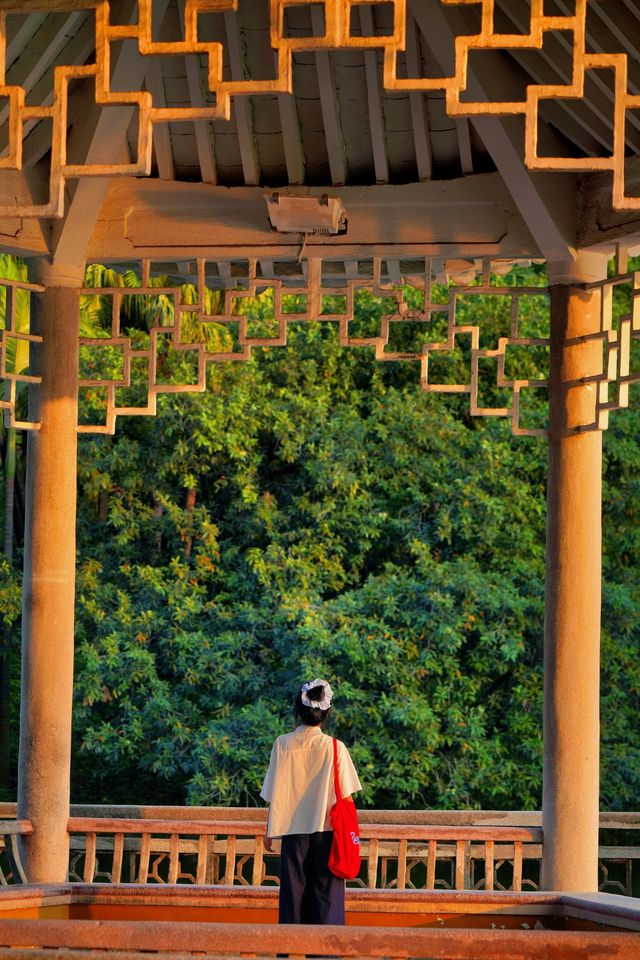 美哭！沒有哪個公園能比它更懂拿捏春和景明了
