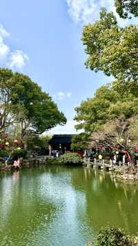 讓乾隆念念不忘的寄暢園，難怪成了春晚分會場