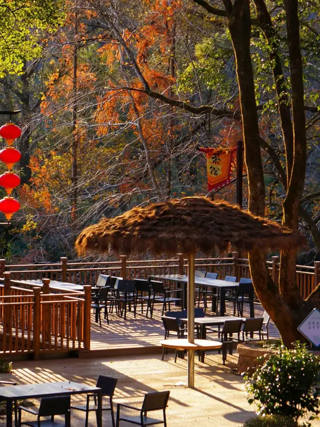 A 3-Day Trip to Wuyi Mountain: Your Guide to an Amazing Experience