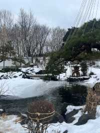 日本5日遊｜小長假超全攻略