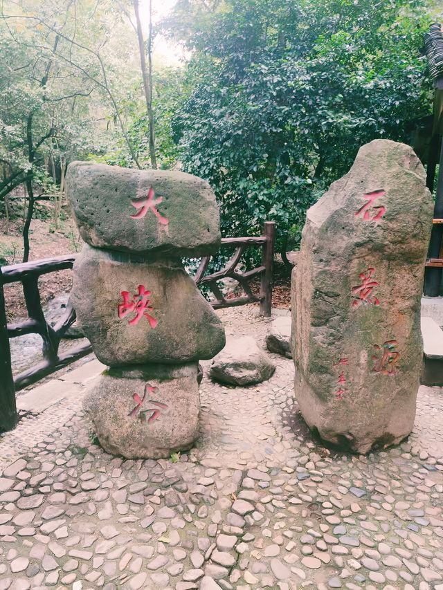 大奇山 | 杭州周邊週末，一場治癒身心的徒步吸氧之旅