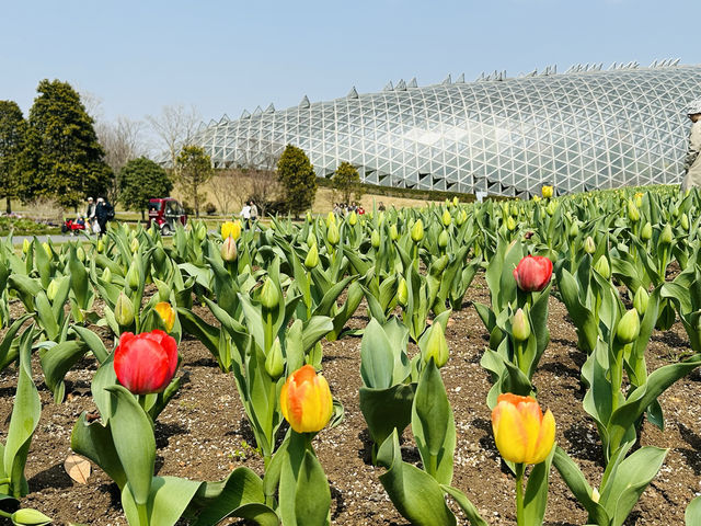 上海辰山植物園