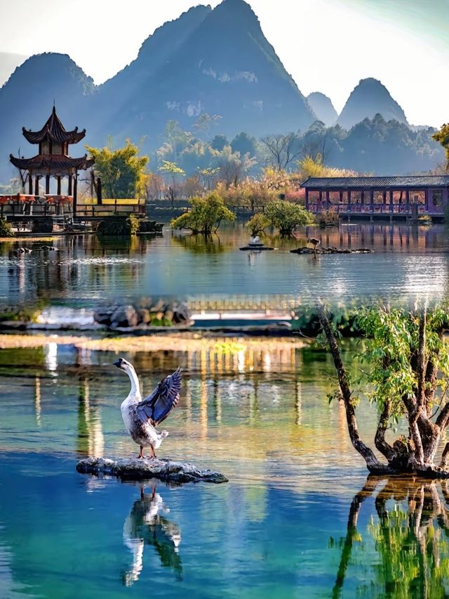 奔赴靖西，邂逅邊境線上的喀斯特綺夢