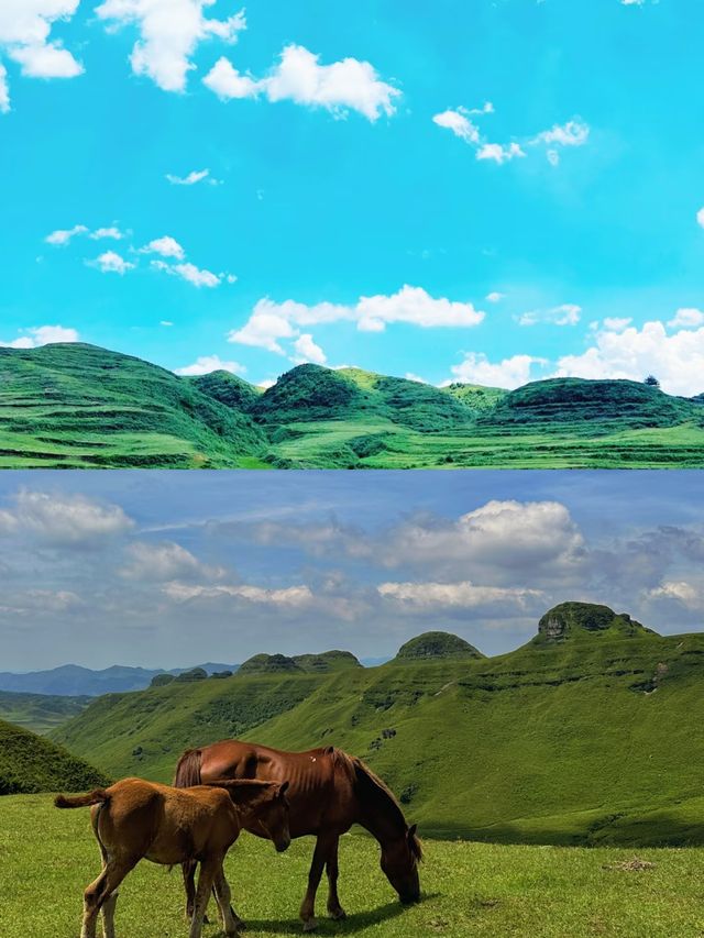 探秘貴州畢節：阿西里西大草原嘅奇幻之旅