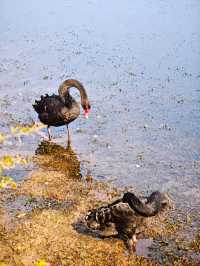 歐陸浪漫公園