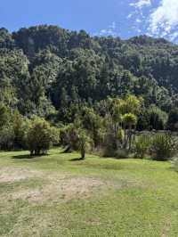 A Swim Like No Other, The Lakes In The Bay Of Plenty New Zealand