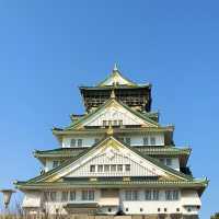 大阪城公園櫻花現狀！別當了大冤種