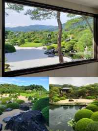 日本庭園的天花板｜足立美術館