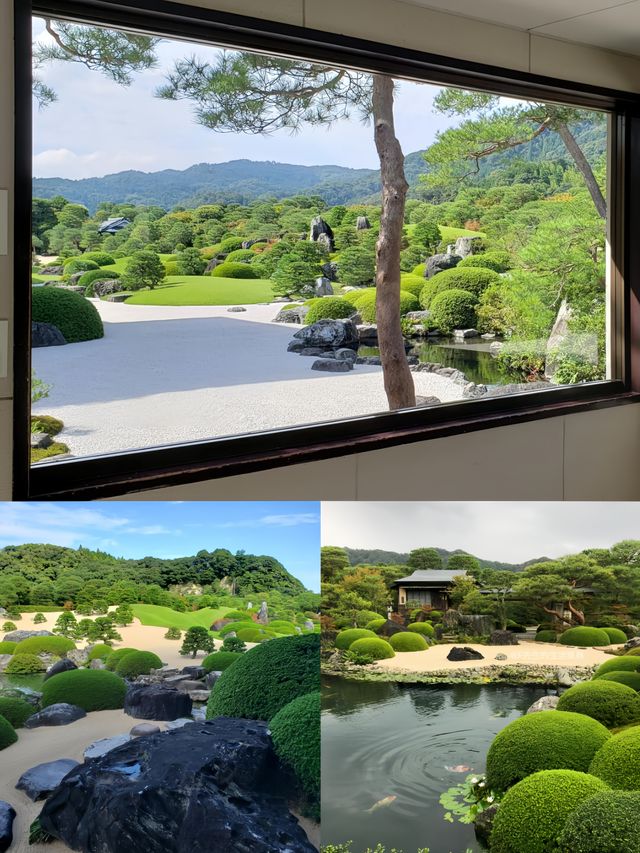 日本庭園的天花板｜足立美術館
