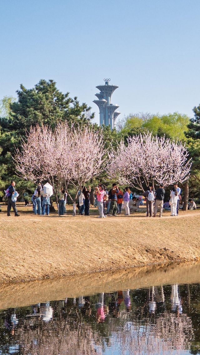 闖入奧森嘅四季花海，邂逅一整年嘅浪漫