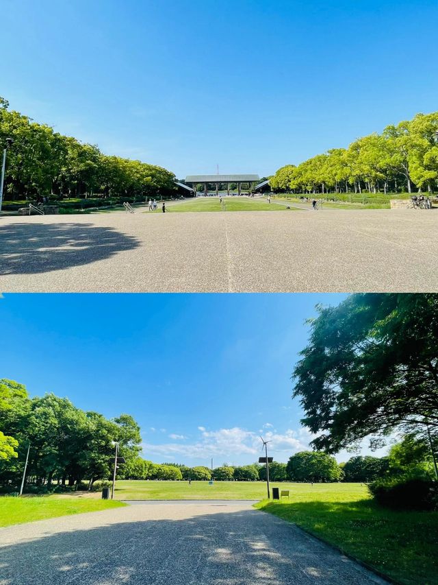 日本小眾寶藏地｜藏在大阪旁的千年古都堺市
