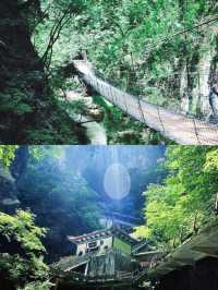陝西真係太靚喇我嘅心仲留喺嗰度