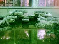 Zimalin Zoo: Rare Species and Wildlife Paradise