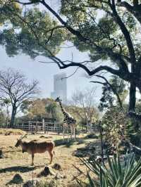 綠野微光：天王寺動物園的自然樂章